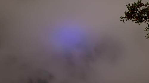 ふたご座流星群２